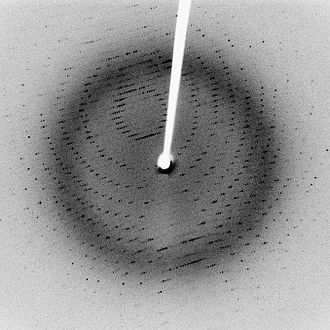 An X-ray diffraction pattern of a crystallized enzyme. 