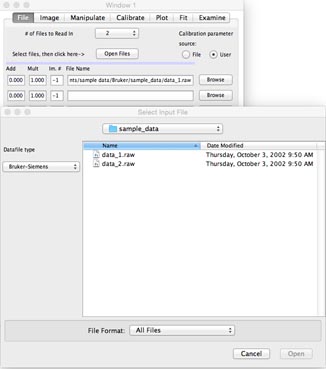 The File Input Panel and Dialog Window